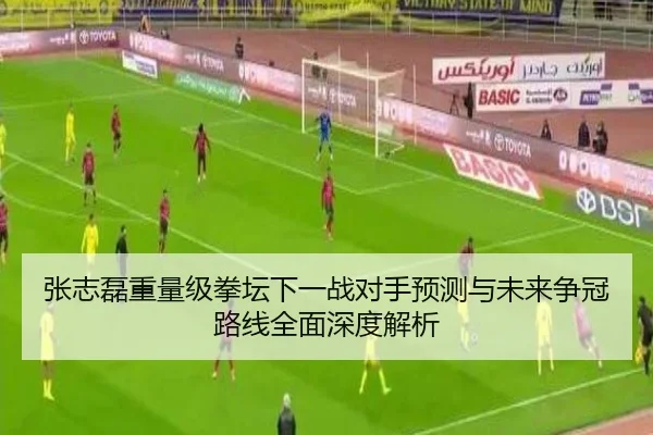 张志磊重量级拳坛下一战对手预测与未来争冠路线全面深度解析